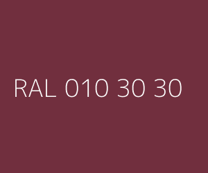 Couleur RAL 010 30 30 