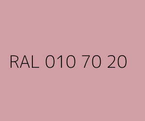 Couleur RAL 010 70 20 