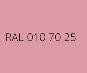 Couleur RAL 010 70 25 