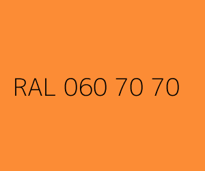 Couleur RAL 060 70 70 