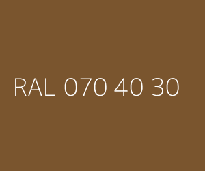 Couleur RAL 070 40 30 