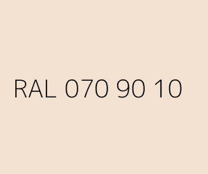 Couleur RAL 070 90 10 