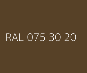 Couleur RAL 075 30 20 