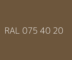 Couleur RAL 075 40 20 