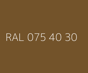 Couleur RAL 075 40 30 