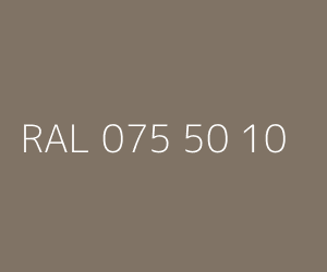 Couleur RAL 075 50 10 