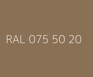 Couleur RAL 075 50 20 