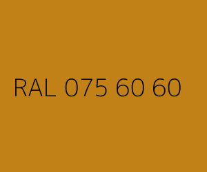 Couleur RAL 075 60 60 