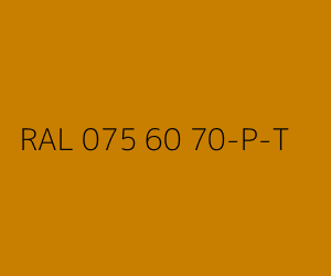 Couleur RAL 075 60 70-P-T 