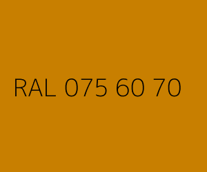 Couleur RAL 075 60 70 