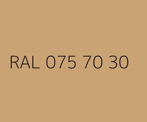 Couleur RAL 075 70 30 