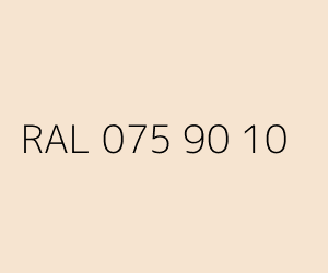 Couleur RAL 075 90 10 