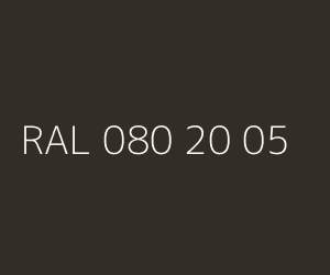 Couleur RAL 080 20 05 