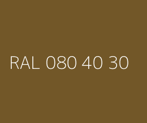 Couleur RAL 080 40 30 