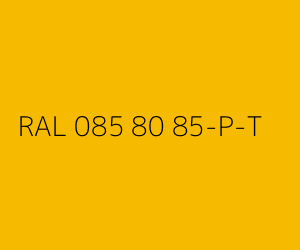 Couleur RAL 085 80 85-P-T 