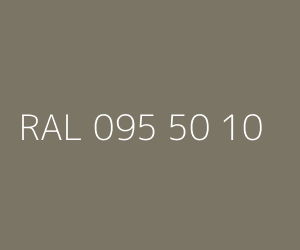 Couleur RAL 095 50 10 