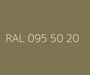 Couleur RAL 095 50 20 
