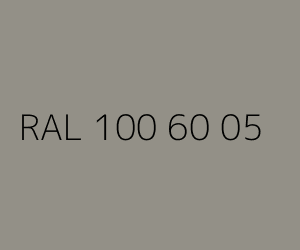 Couleur RAL 100 60 05 
