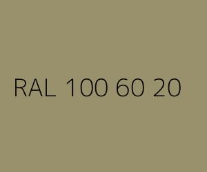 Couleur RAL 100 60 20 