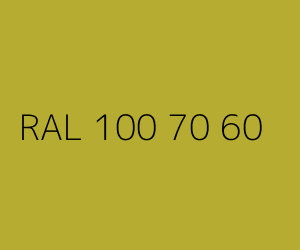 Couleur RAL 100 70 60 