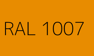 Couleur RAL 1007