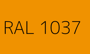 Couleur RAL 1037