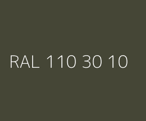 Couleur RAL 110 30 10 