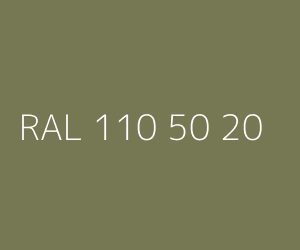 Couleur RAL 110 50 20 