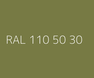 Couleur RAL 110 50 30 