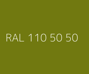 Couleur RAL 110 50 50 