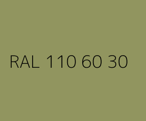 Couleur RAL 110 60 30 