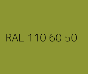 Couleur RAL 110 60 50 