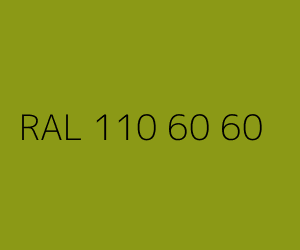Couleur RAL 110 60 60 