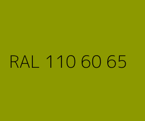 Couleur RAL 110 60 65 