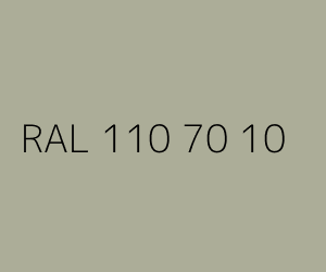 Couleur RAL 110 70 10 