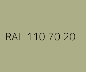Couleur RAL 110 70 20 