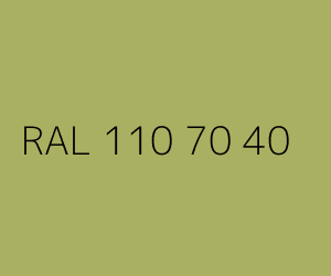 Couleur RAL 110 70 40 