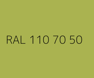 Couleur RAL 110 70 50 