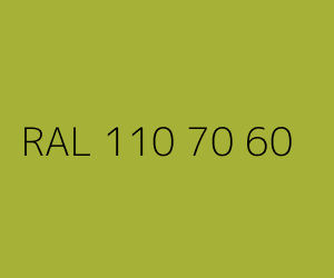 Couleur RAL 110 70 60 