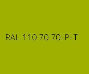 Couleur RAL 110 70 70-P-T 