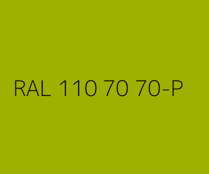 Couleur RAL 110 70 70-P 