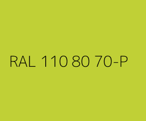 Couleur RAL 110 80 70-P 