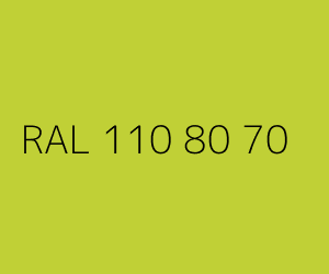 Couleur RAL 110 80 70 