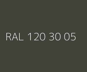Couleur RAL 120 30 05 