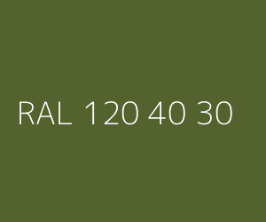 Couleur RAL 120 40 30 