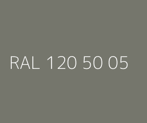 Couleur RAL 120 50 05 