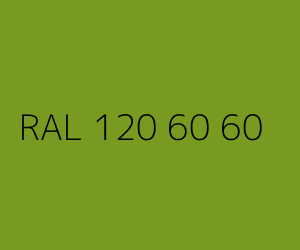 Couleur RAL 120 60 60 