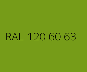 Couleur RAL 120 60 63 