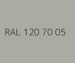 Couleur RAL 120 70 05 
