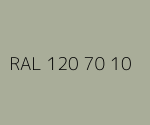 Couleur RAL 120 70 10 